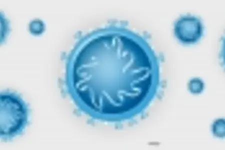 Corona-Virus