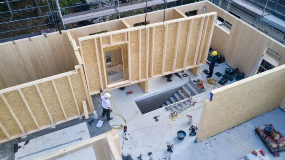 Holz am Hang-2