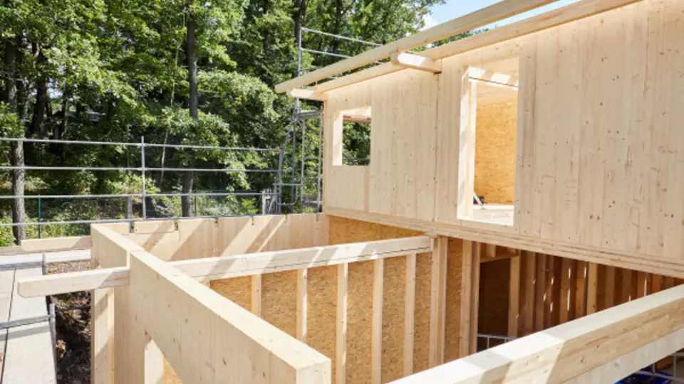 Holz am Hang-4